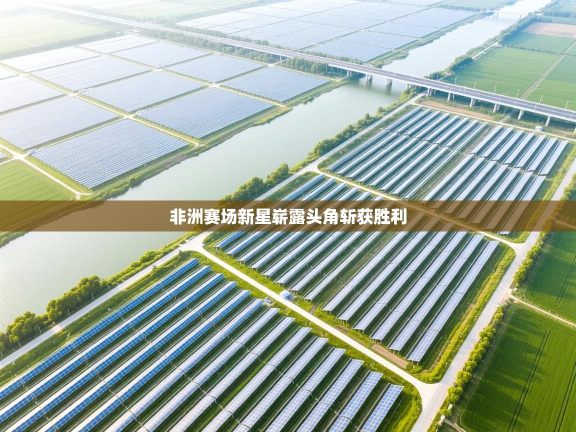 非洲赛场新星崭露头角斩获胜利